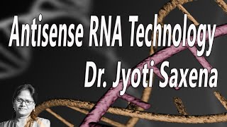 Antisense RNA Technology  BIOTECH MADE EASY [upl. by Hilario]