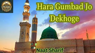 Hara Gumbad Jo Dekhoge [upl. by Idola]