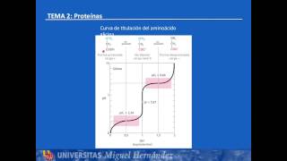 Tema 22 Aminoácidos Caracter acidobase UMH1003 201516 [upl. by Bowler]