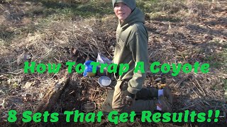 How To Trap A Coyote 8 Sets In One Video That Produce Results [upl. by Sigsmond]