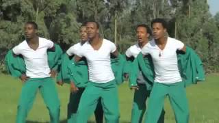 Temesgen Gebregziabher  Mela Beyign  መላ በዪኝ [upl. by Gaelan172]